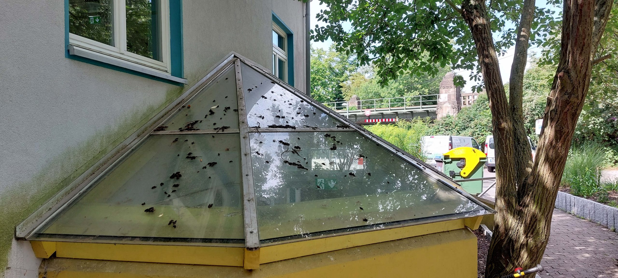HOCH3 Gebäudemanagement Hannover Döhren, Unsere Leistungen (B2B), Glas- und Fensterreinigung