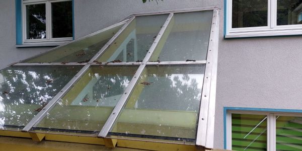 HOCH3 Gebäudemanagement Hannover Döhren, Unsere Leistungen (B2B), Glas- und Fensterreinigung
